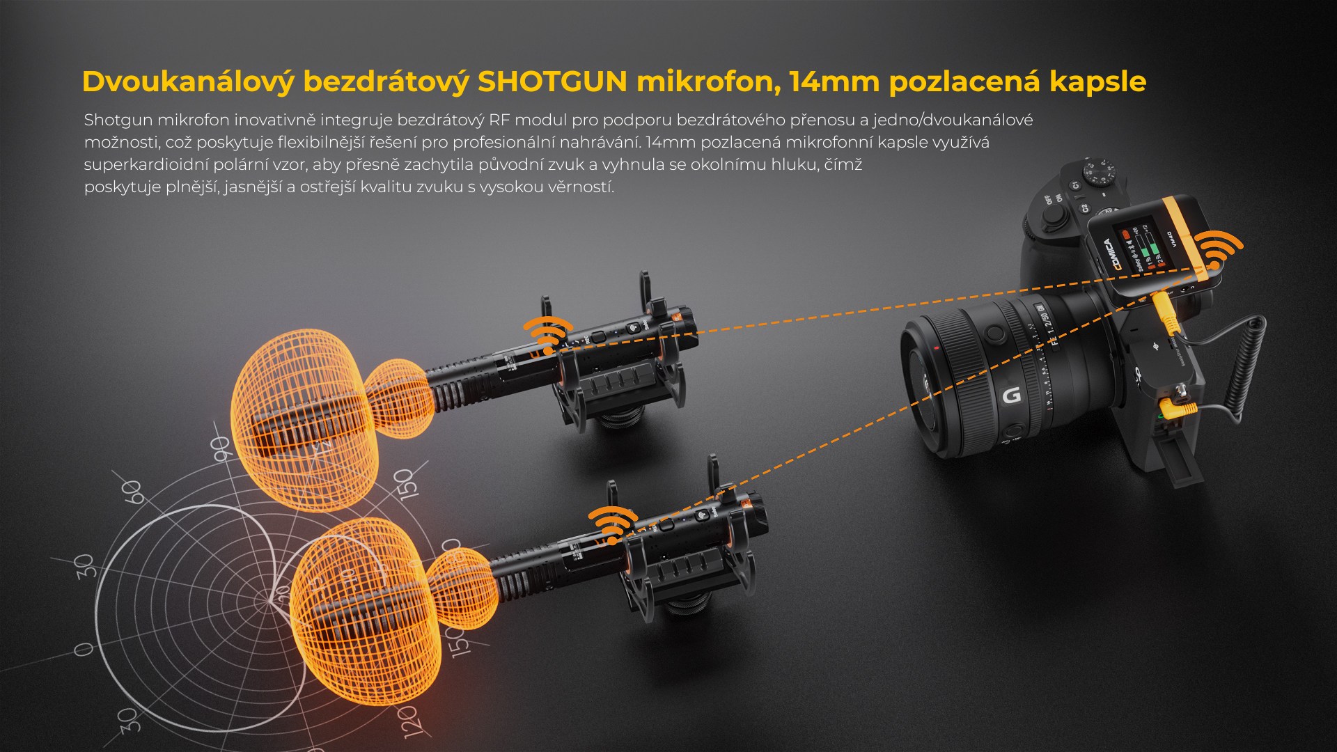 shotgun-mic-LQ